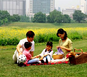 families pleasure in limo picnic