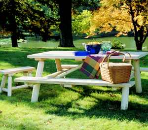 picnic table in a park